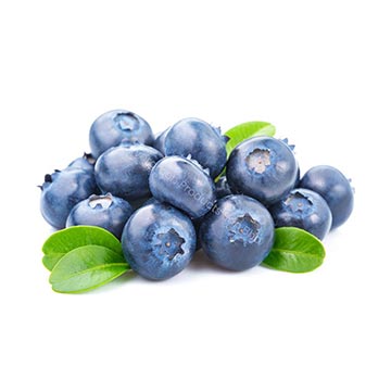 Evergreen Products - DP - Blueberries 02