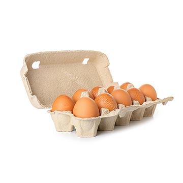 Evergreen Products - DP - Eggs 01