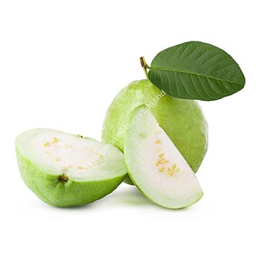 Evergreen Products - DP - Guava 02