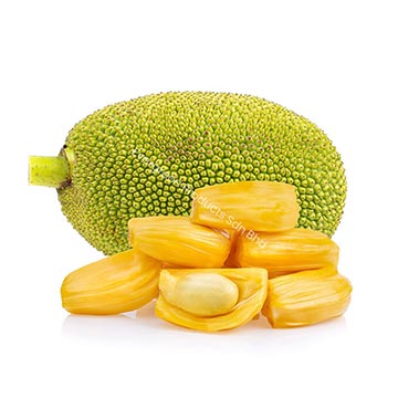 Evergreen Products - DP - Jack Fruits 01
