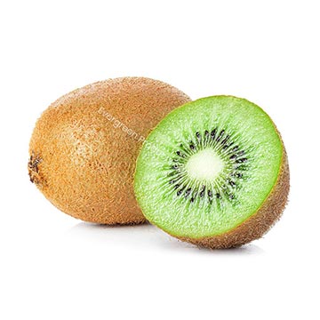 Evergreen Products - DP - Kiwi 01