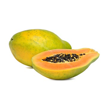Evergreen Products - DP - Papaya 01