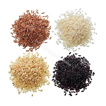 Evergreen Products - DP - Rice 03