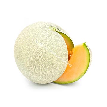 Evergreen Products - DP - Rock Melons 02