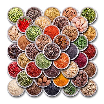 Evergreen Products - DP - Spices 03