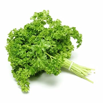 Evergreen Products - Baby Bayam - v1 - 360px