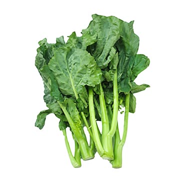 Evergreen Products - Kai Choy - v1 - 360px