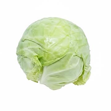 Evergreen Products - Kai Choy - v1 - 360px