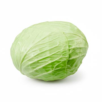 Evergreen Products - Kai Choy - v1 - 360px