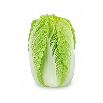 Evergreen Products - Kai Choy - v1 - 360px