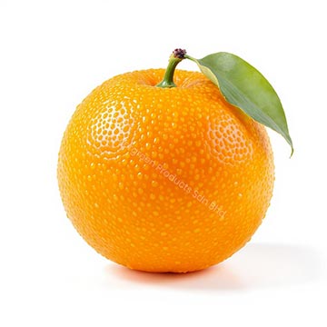 Evergreen Products - Apple 01 - 360px