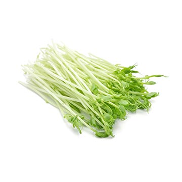 Evergreen Products - Pea Sprout - v1 - 360px