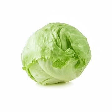 Evergreen Products - Pea Sprout - v1 - 360px