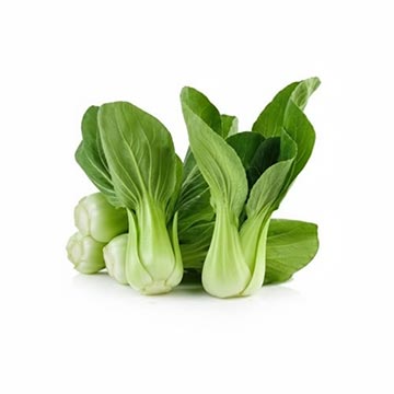 Evergreen Products - Sawi Bunga - v1 - 360px