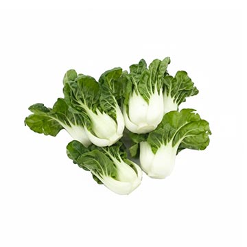 Evergreen Products - Sawi Bunga - v1 - 360px