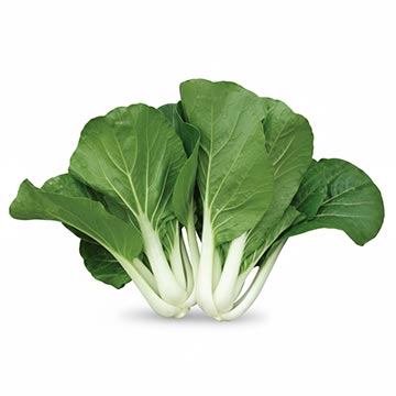 Evergreen Products - Sawi Bunga - v1 - 360px