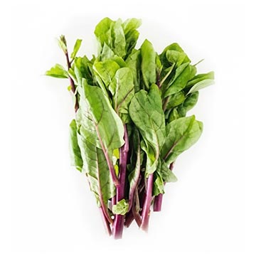 Evergreen Products - Sawi Bunga - v1 - 360px