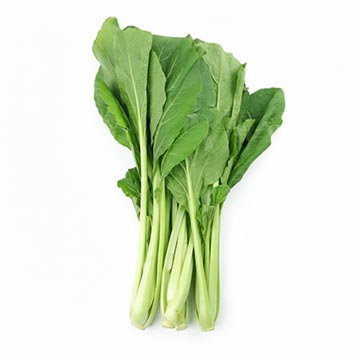 Evergreen Products - Pea Sprout - v1 - 360px