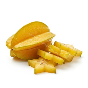 Evergreen Products - Apple 01 - 360px